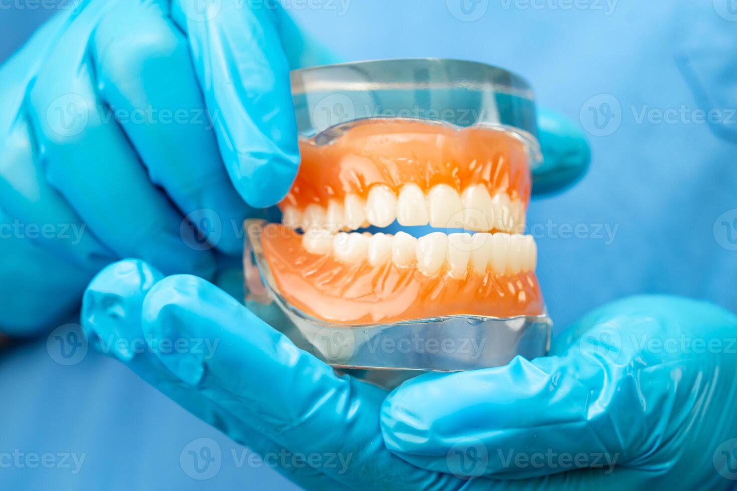 Denture dentist holding dental teeth model to study and treat in hospital. photo