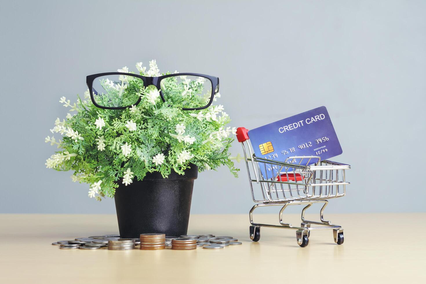 Small plants with frugality save money with Credit card and shopping cart. Concepts of staying at home, saving lives, lifestyle shopping, internet banking shopping, and online shopping at home. photo