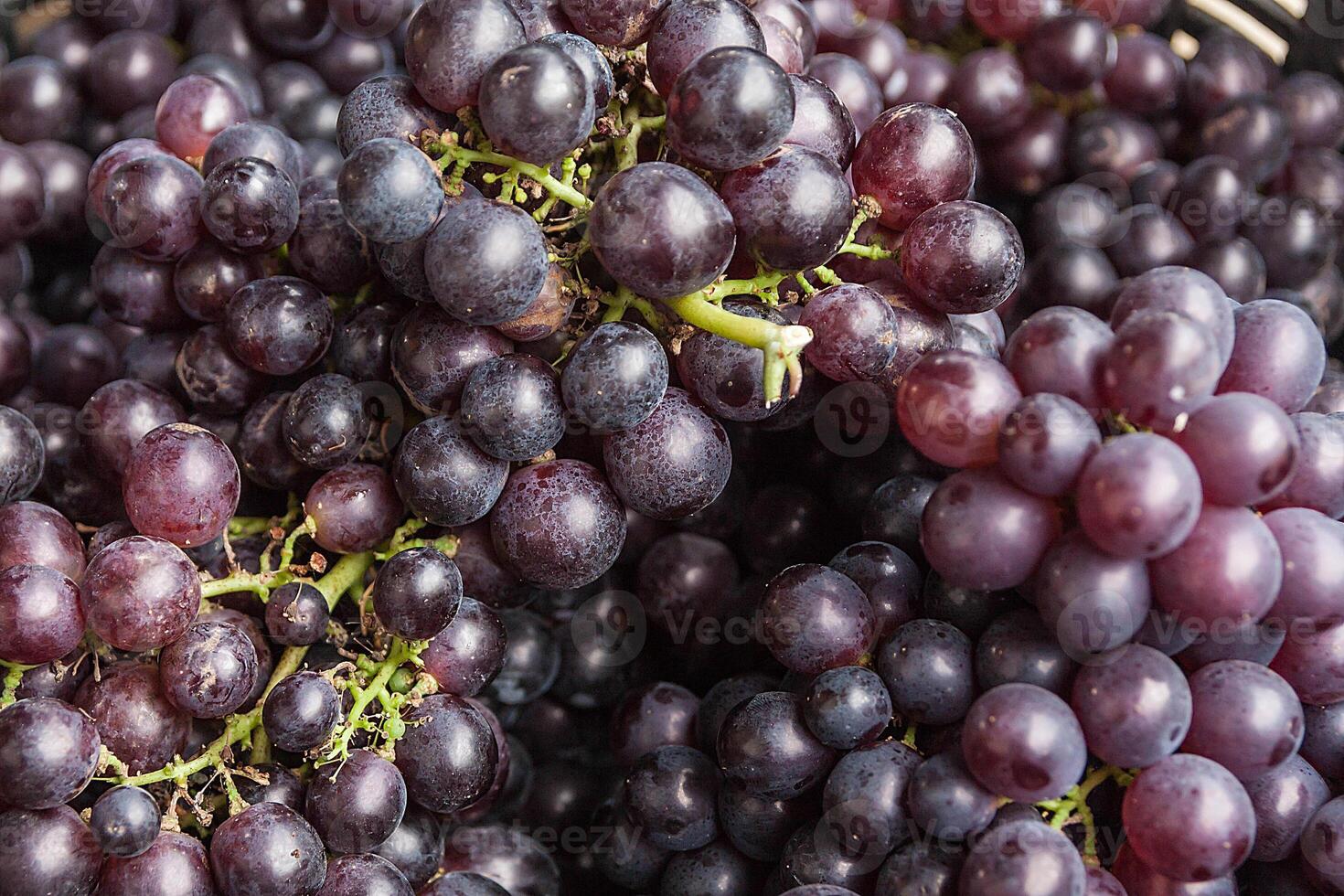 image of Grape, background for used. photo