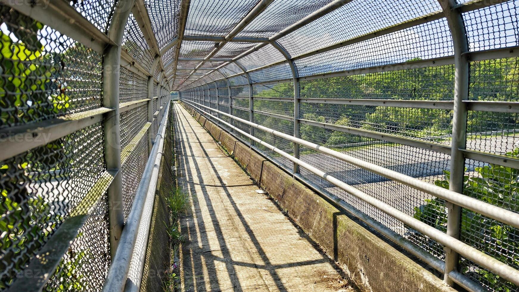 Pedestrian Bridge with Protective Mesh Covering Extending Over a Lush Green Landscape photo