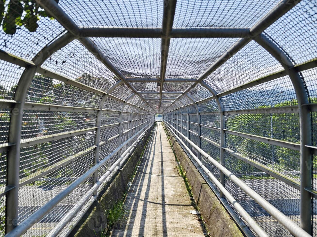 Pedestrian Bridge with Protective Mesh Covering Extending Over a Lush Green Landscape, photo