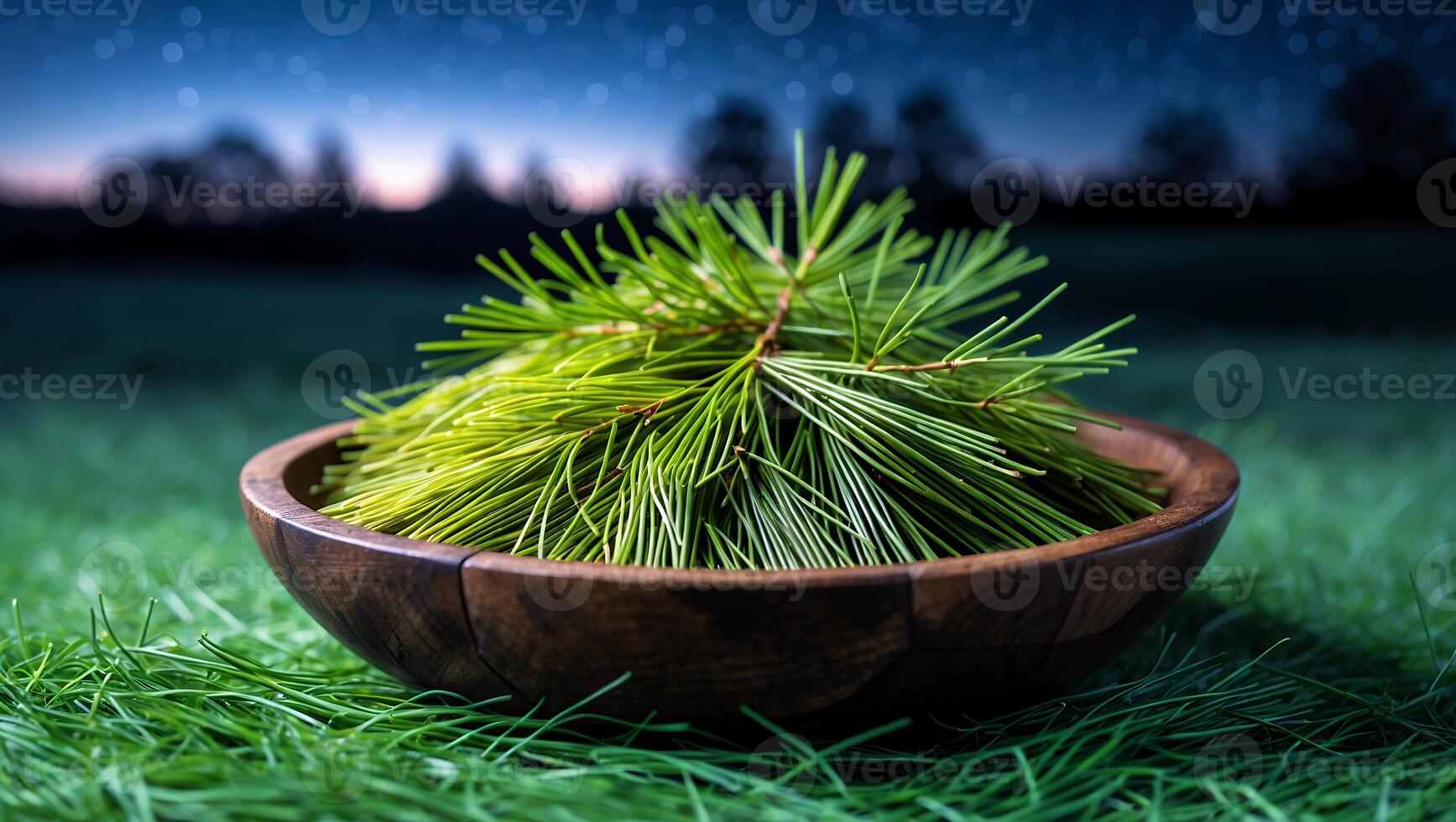 Pine Needles in Wooden Bowl on Grass Under Starry Night photo