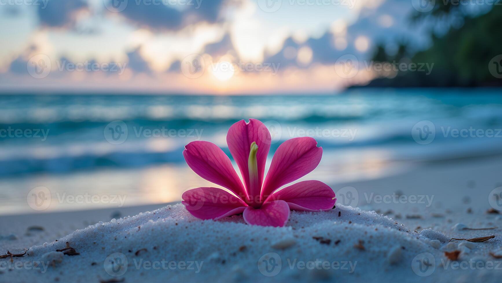 Pink Flower on Beach Sand at Sunrise with Ocean Background photo