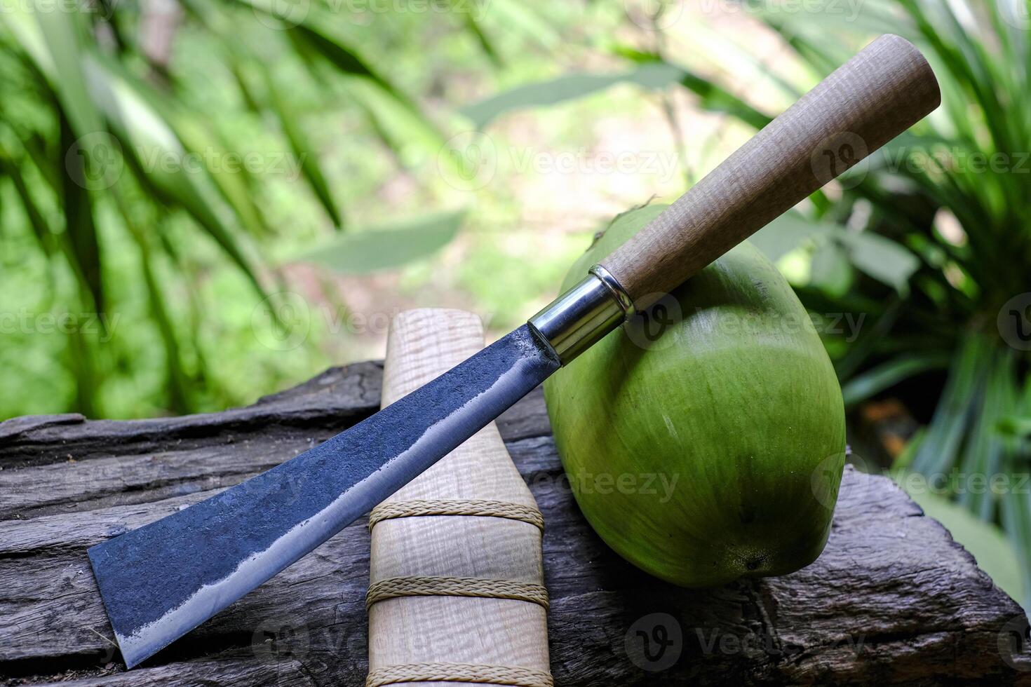 Eto knife on the timber of a Thai native photo