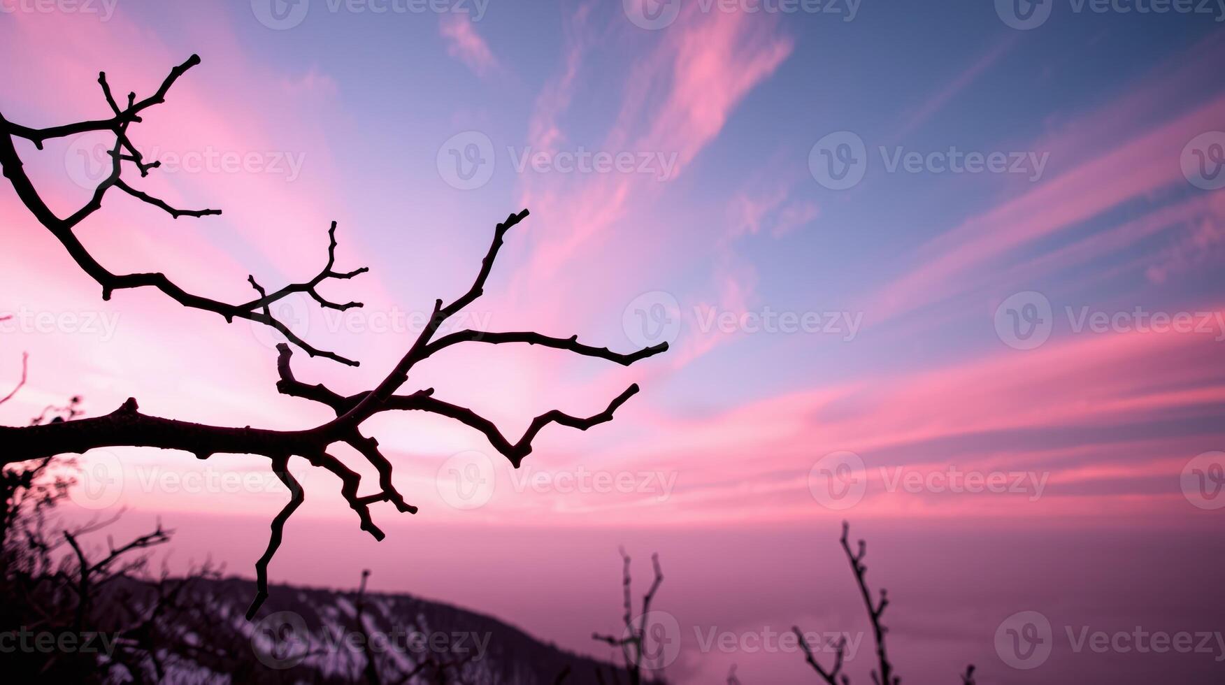 Twilight sky's vibrant hues surround tranquil, silhouetted branches. photo
