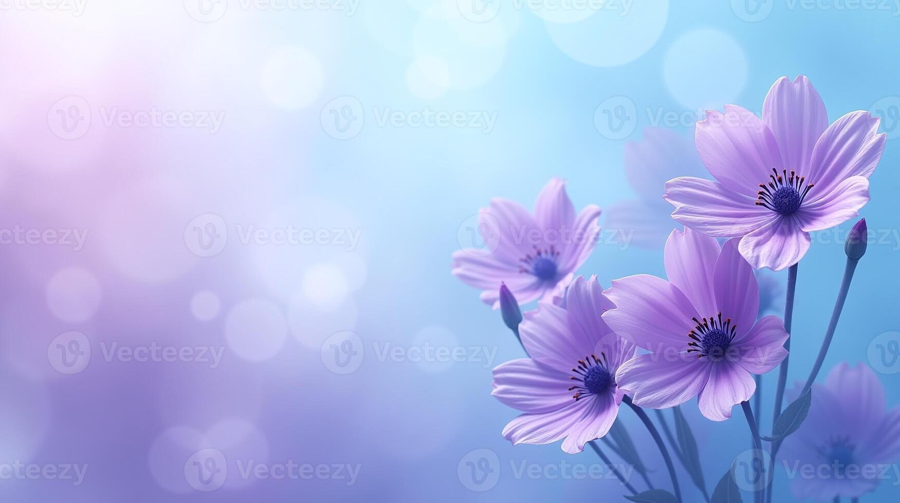 Vividly colored flowers against a gradient backdrop. photo