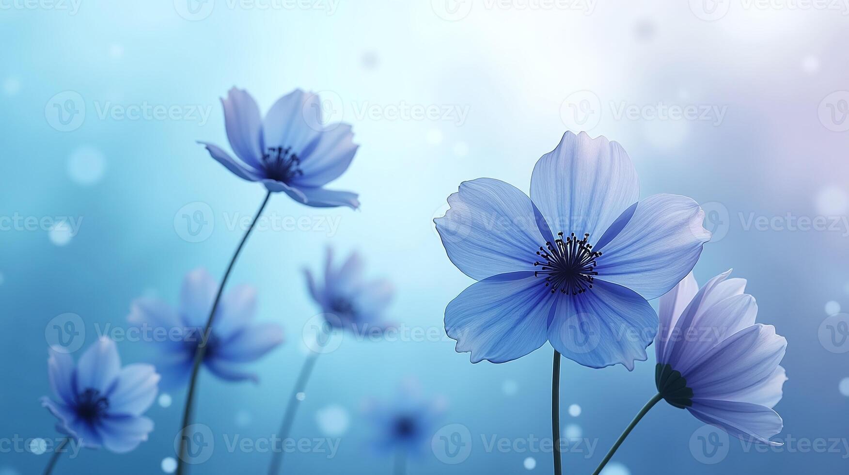 Breathtaking blue anemones bloom gracefully. photo