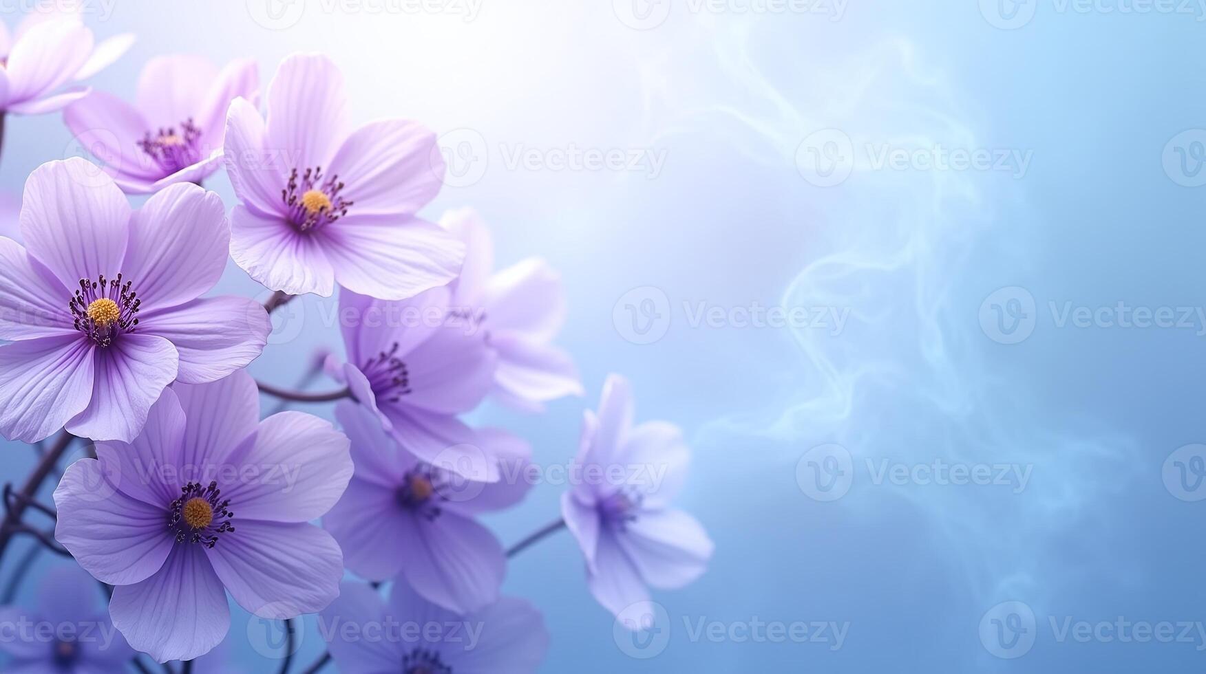 Violet blossoms against a serene, ethereal backdrop. photo