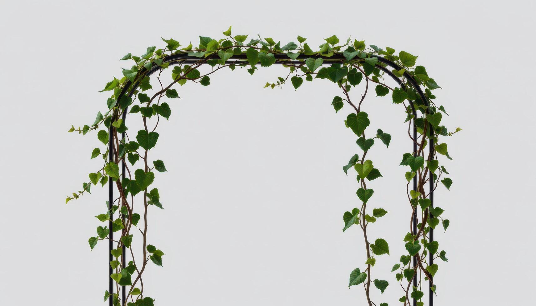 a geometric metal frame supporting climbing vines. photo