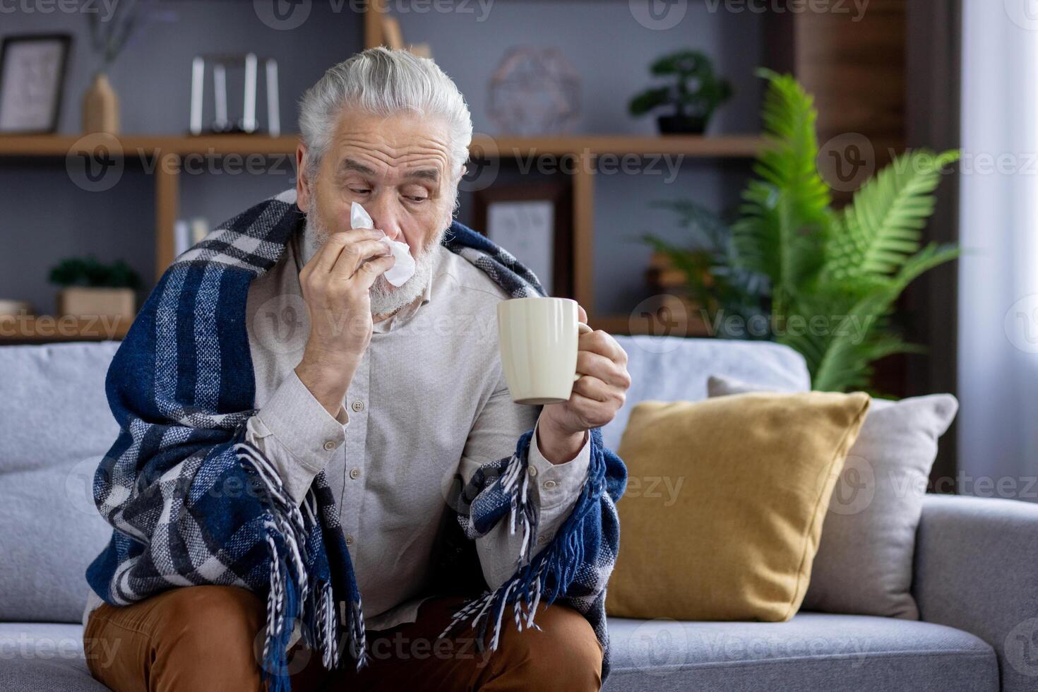 An elderly man is not feeling well, sitting at home on the sofa covered with a blanket, holding a cup with a drink in his hands and wiping his nose with a napkin from a runny nose. photo