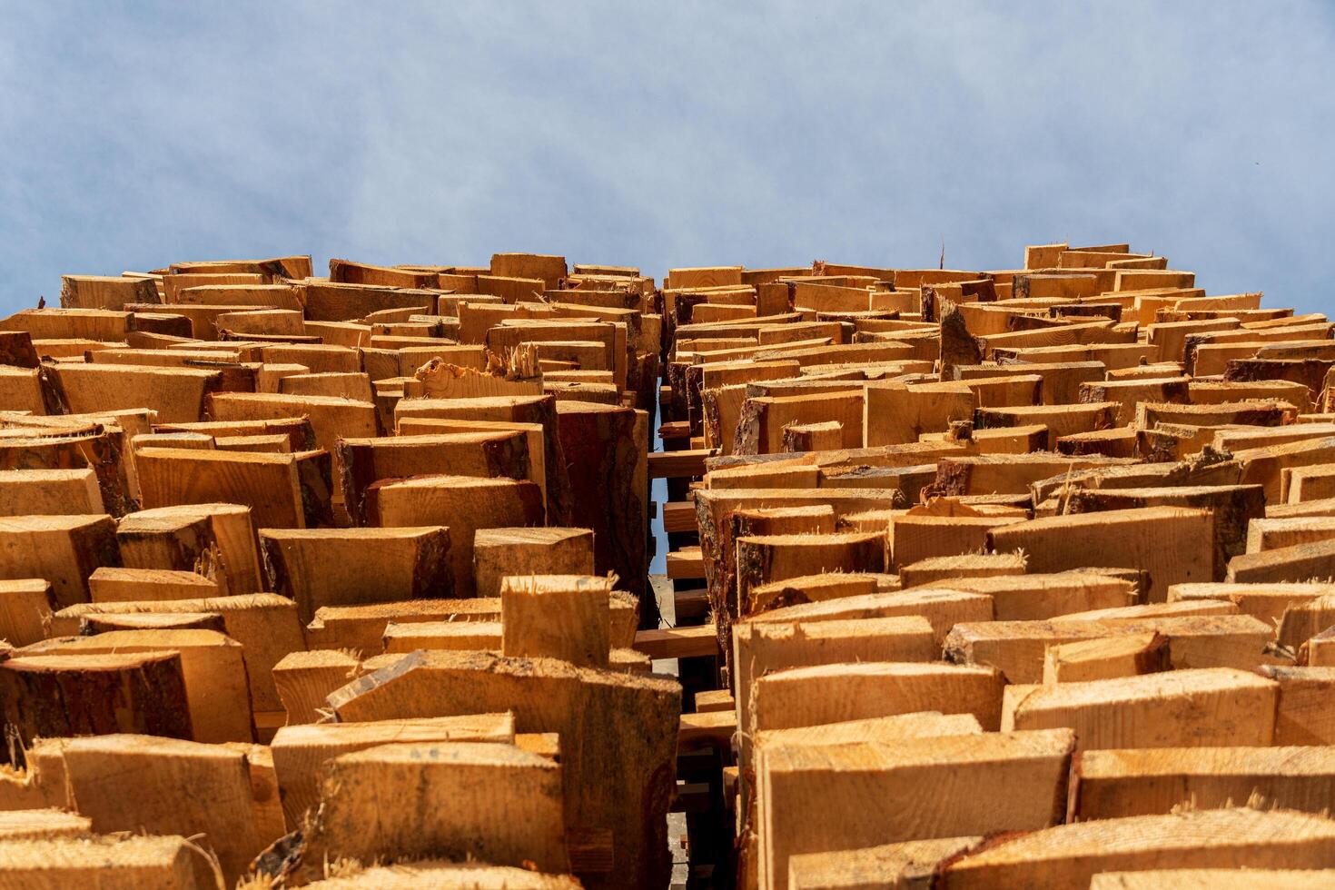A collection of neatly stacked wood logs rises into the sky, showcasing their natural texture against a bright, cloudless backdrop photo