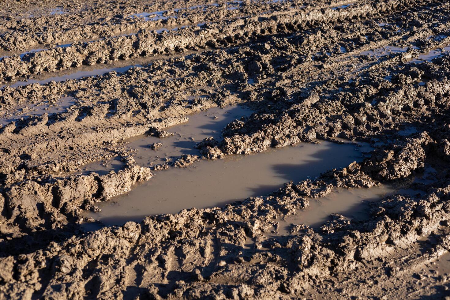 Muddy terrain displays deep tire tracks and puddles, indicating recent rainfall in an outdoor agricultural setting photo