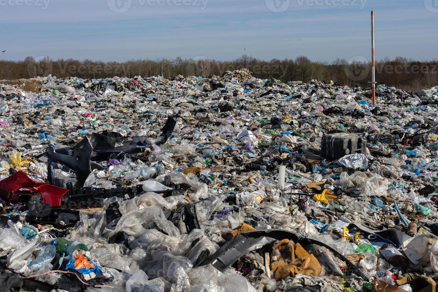 Piles of trash and plastic debris cover the landfill, demonstrating the impact of pollution on the local ecosystem and sanitation management photo