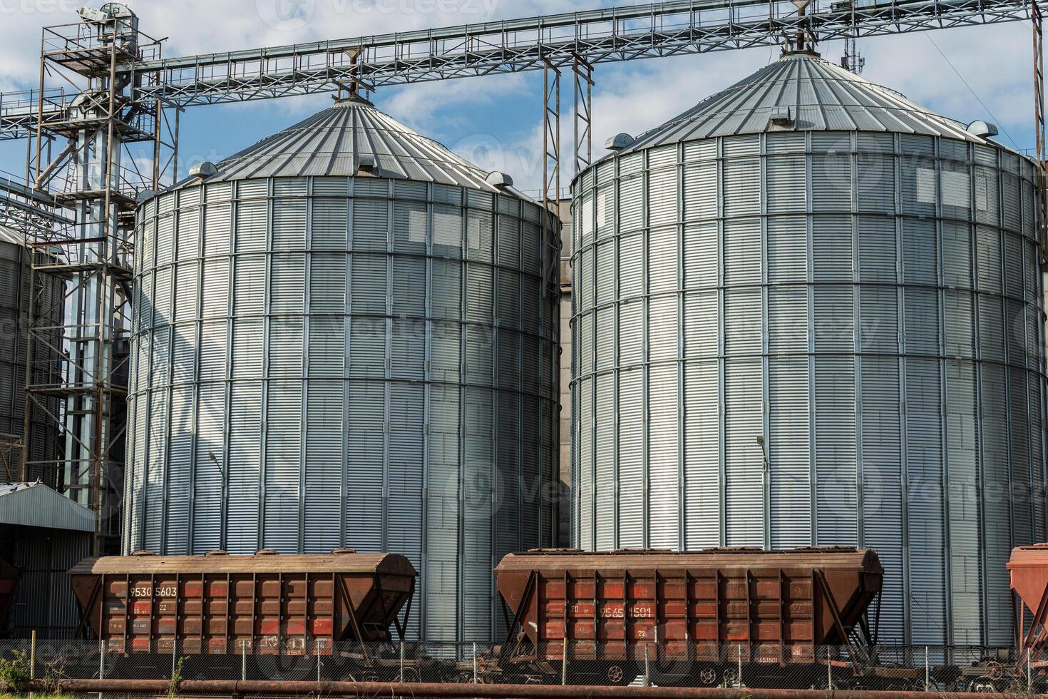 Large metallic silos store harvested grain, showcasing the industrial structure of a busy agricultural facility amid the harvest season photo