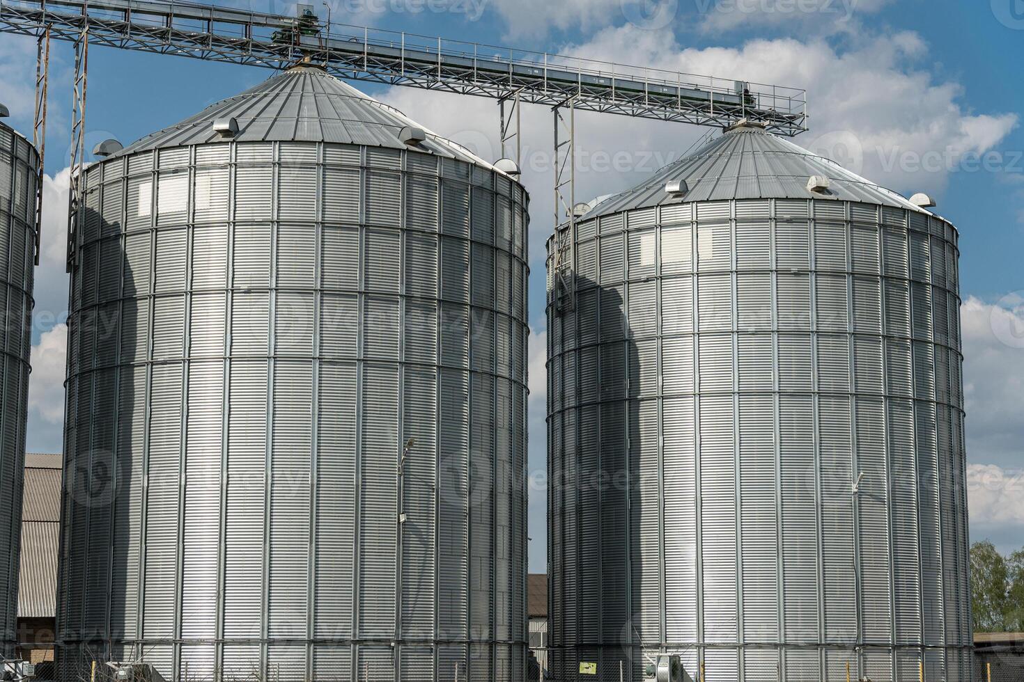 Two large metallic silos are used for grain storage, situated next to an agricultural factory, indicating peak harvest season photo