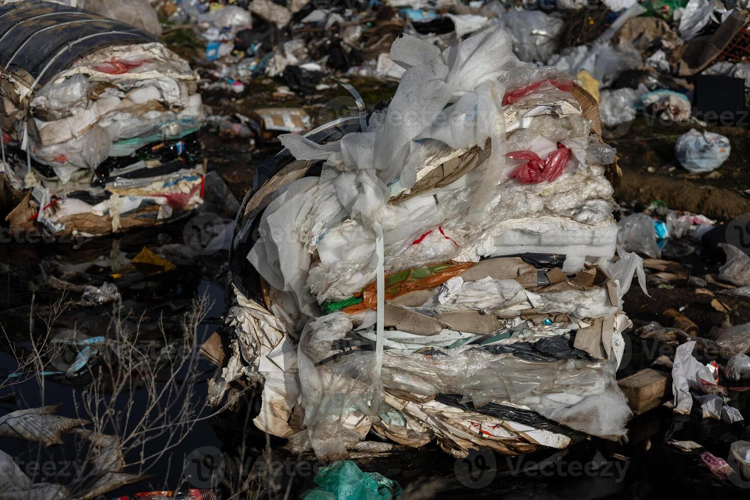 Large piles of plastic and organic debris fill the landfill, highlighting the urgent need for recycling and sanitation efforts in the area photo