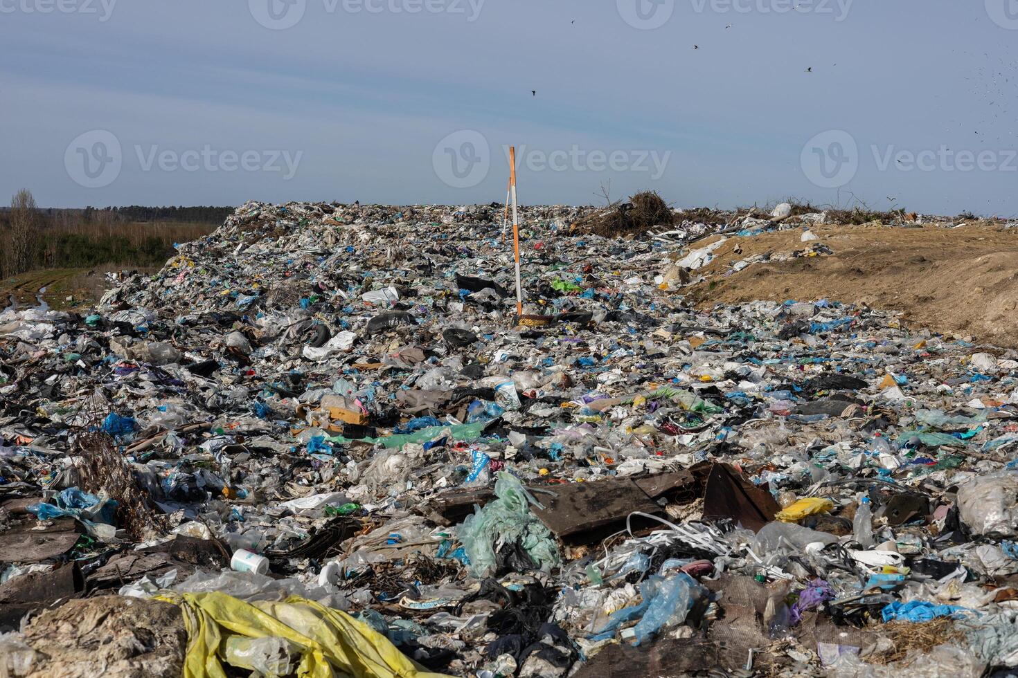 Large landfill area overflowing with trash, plastic debris, and waste impacting the local ecosystem and sanitation efforts photo