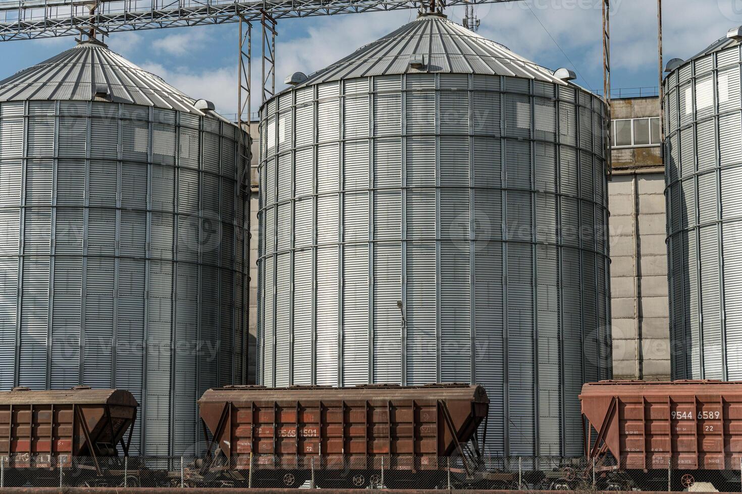 Massive metal silos are filled with harvested grain, showcasing efficient storage solutions at an agricultural facility photo