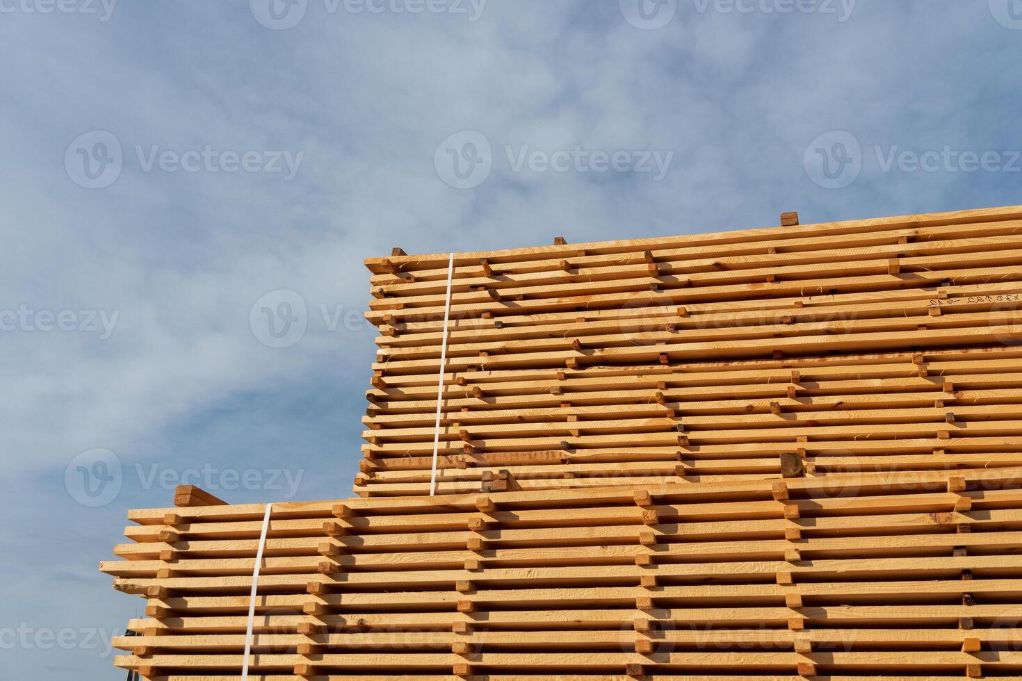 Timber planks are neatly stacked and drying under the sunlight at a sawmill, showcasing the natural textures of the wood photo