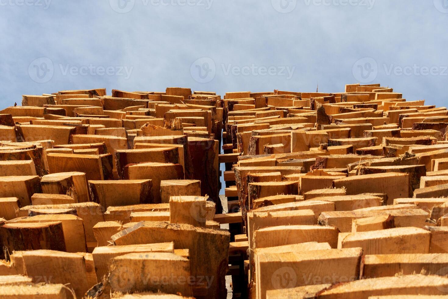 Stacks of freshly cut wooden planks sit in the sunlight at a sawmill, showcasing their rich textures and unique characteristics photo