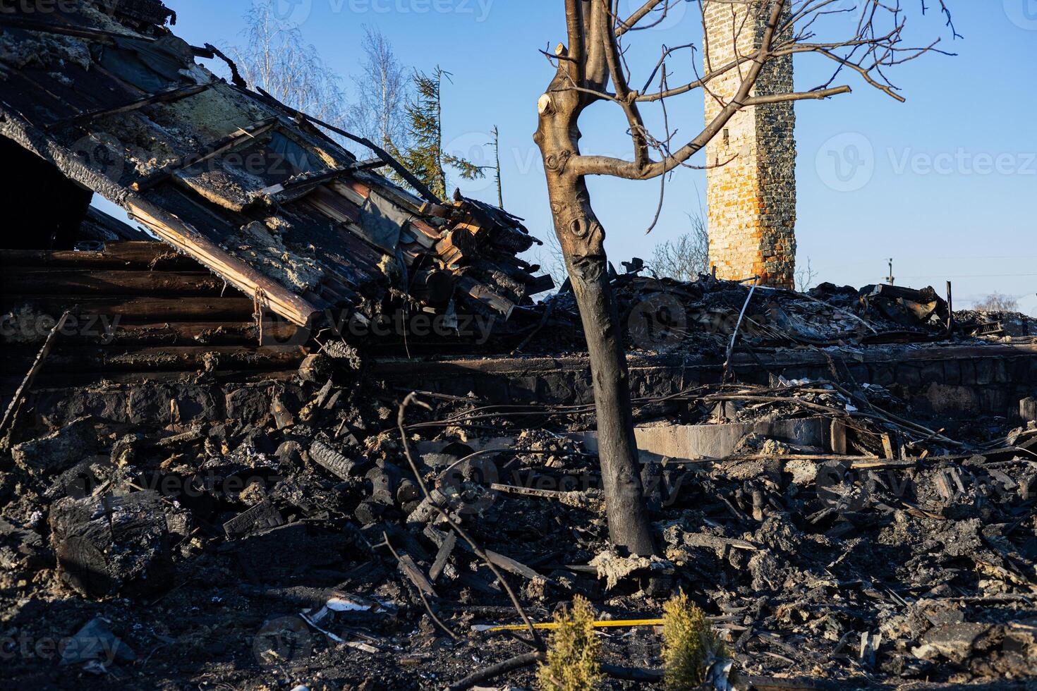 Charred remains of a building lie in a forest area, revealing destruction caused by a recent wildfire, with blackened trees and rubble visible photo