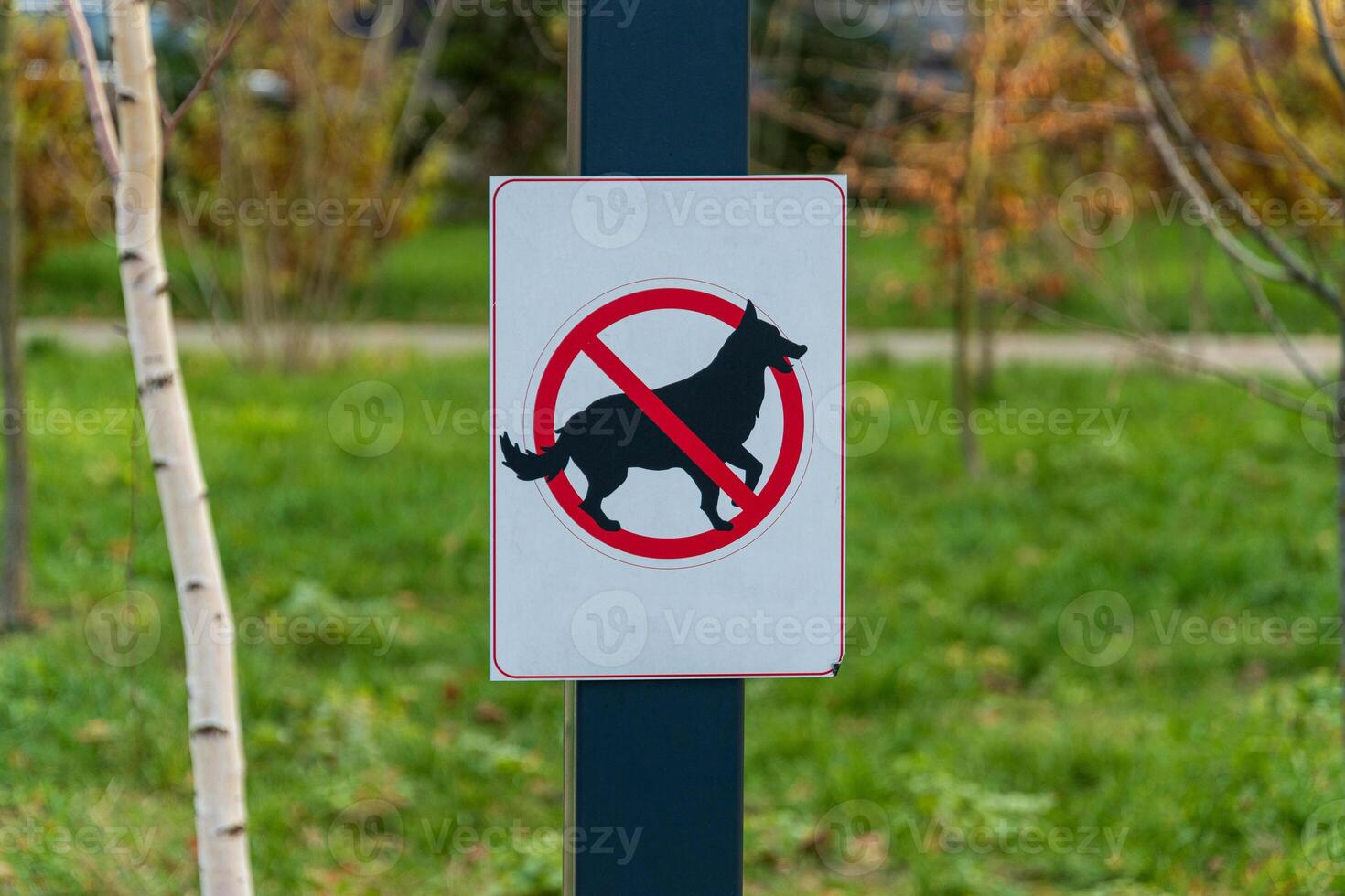 Notice sign indicating no dogs allowed in a verdant park surrounded by trees and greenery during daylight hours photo