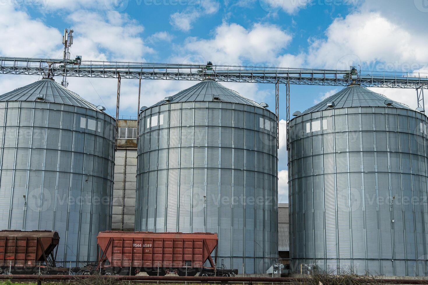 Several large metal grain silos stand at an agricultural site, designed for storing harvested crops like grain photo