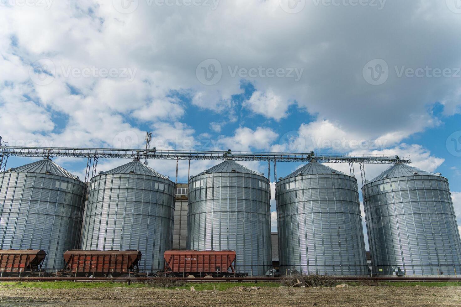 Multiple large grain silos are filled with harvested crops, showcasing agricultural storage structures against a backdrop of clouds photo