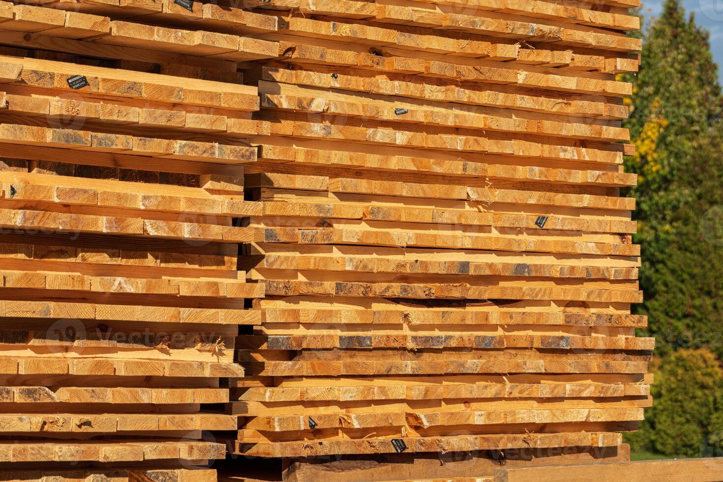 Several stacks of freshly cut lumber are organized at a lumber yard under bright blue skies and surrounded by colorful autumn foliage photo