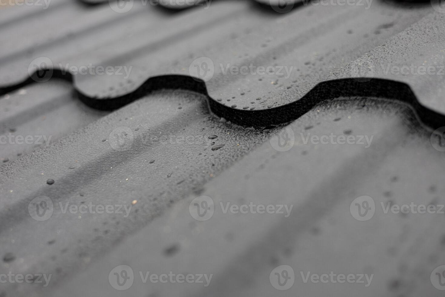 Raindrops collect on the black metal surface of a wavy roof, highlighting its texture on an overcast day in a residential area photo