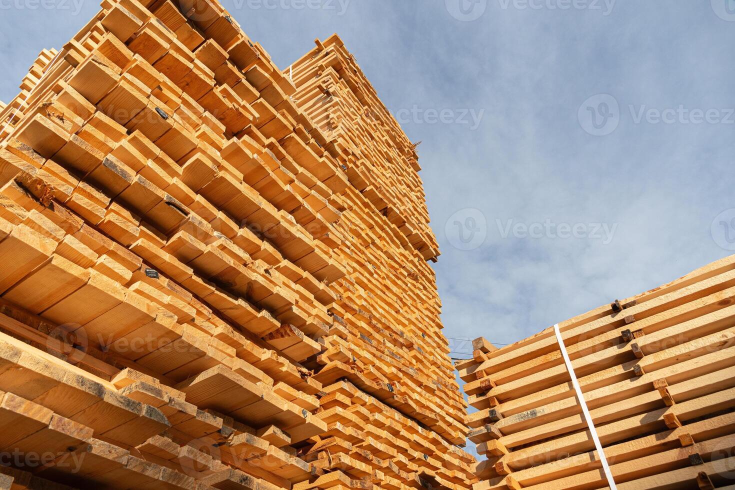 Large piles of neatly arranged lumber stretch high into the blue sky, showcasing the product of a busy sawmill in the morning light photo