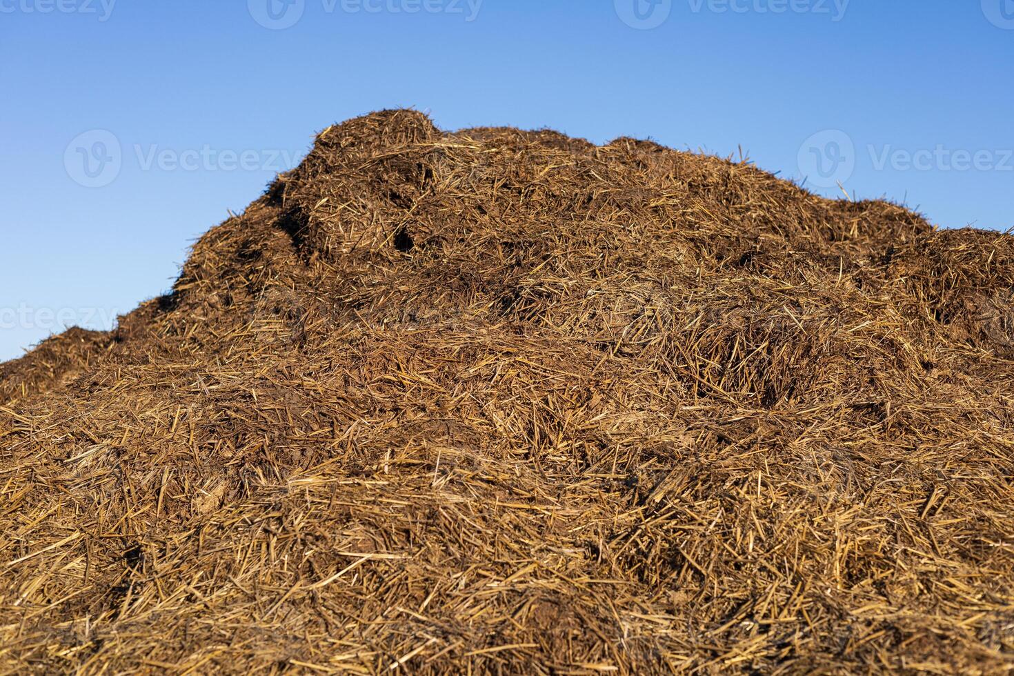 A mound of fresh straw manure sits under a blue sky, casting long shadows on a serene morning at the countryside farm photo