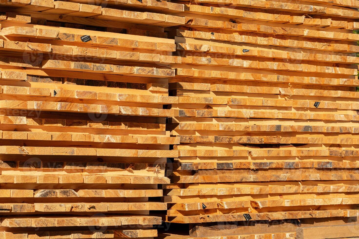 Bright golden boards of lumber are neatly piled at a rustic timber yard under a clear blue sky during afternoon hours photo