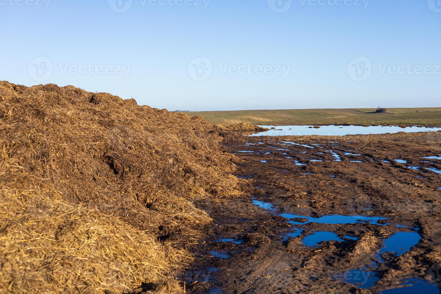 Organic manure is stacked high next to a muddy area with standing water on a sunny day in the countryside photo
