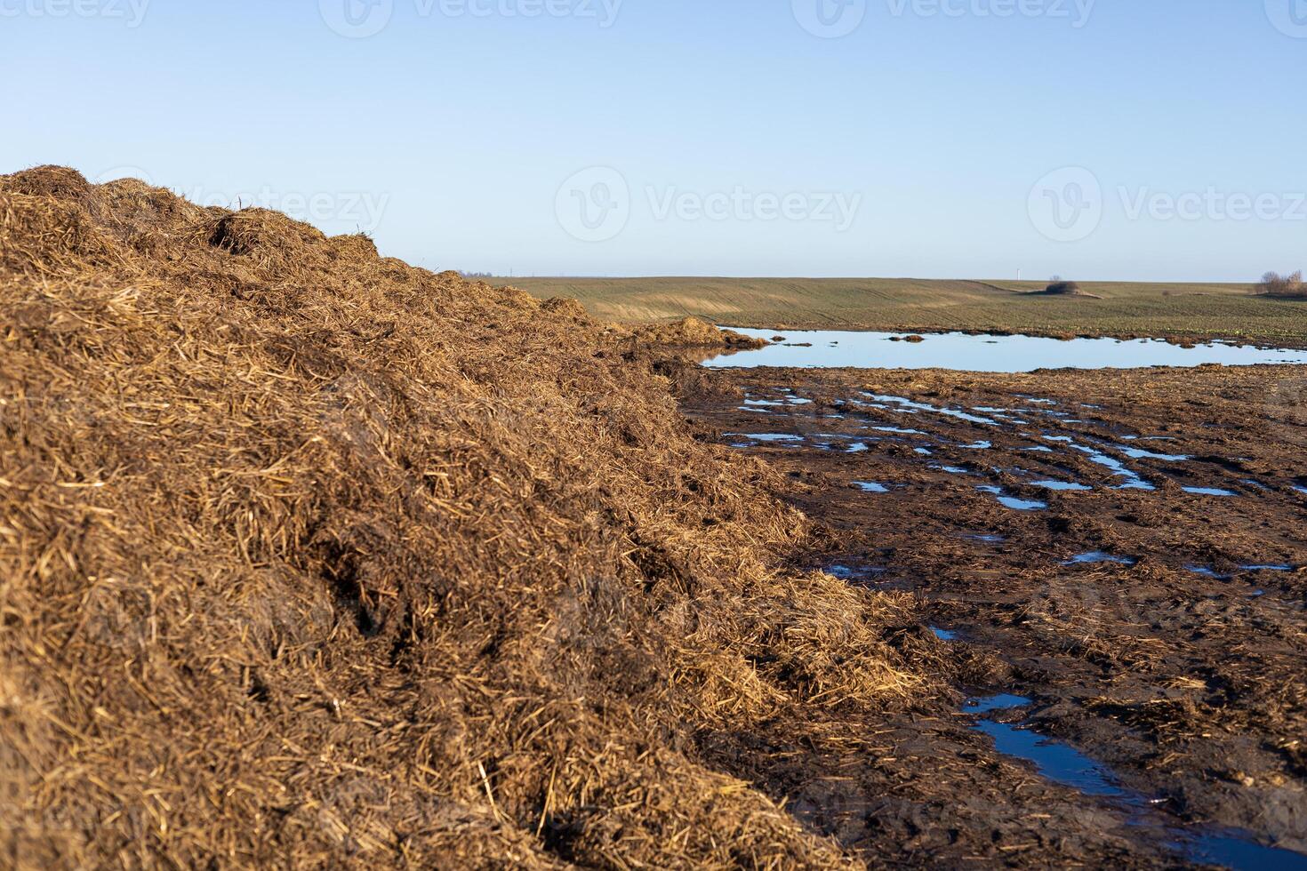 A large pile of organic fertilizer rests near a shallow waterbody, with open fields stretching in the background under clear skies photo