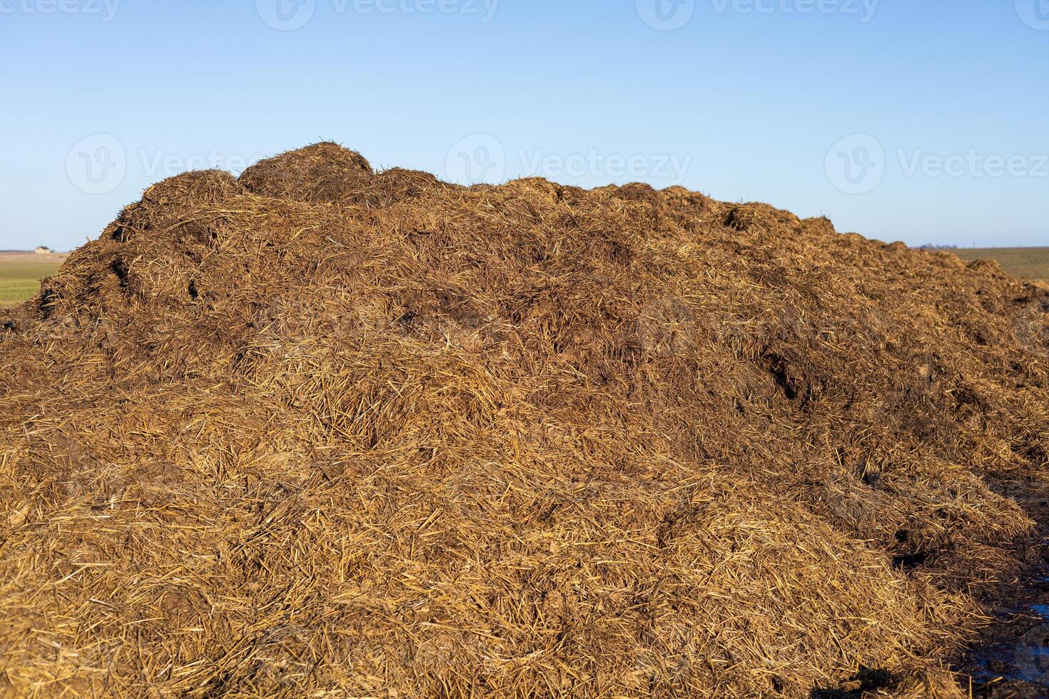 A significant mound of organic manure is located on farmland, surrounded by a wide open landscape under a bright morning sky photo