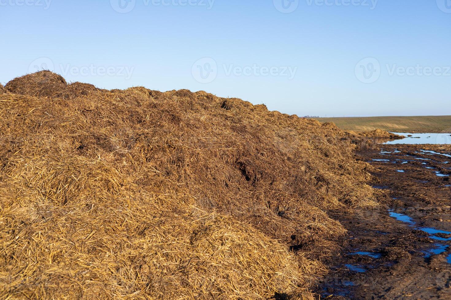 Large piles of hay and straw are stacked near a water body, surrounded by a wide landscape and clear skies, in a rural environment photo