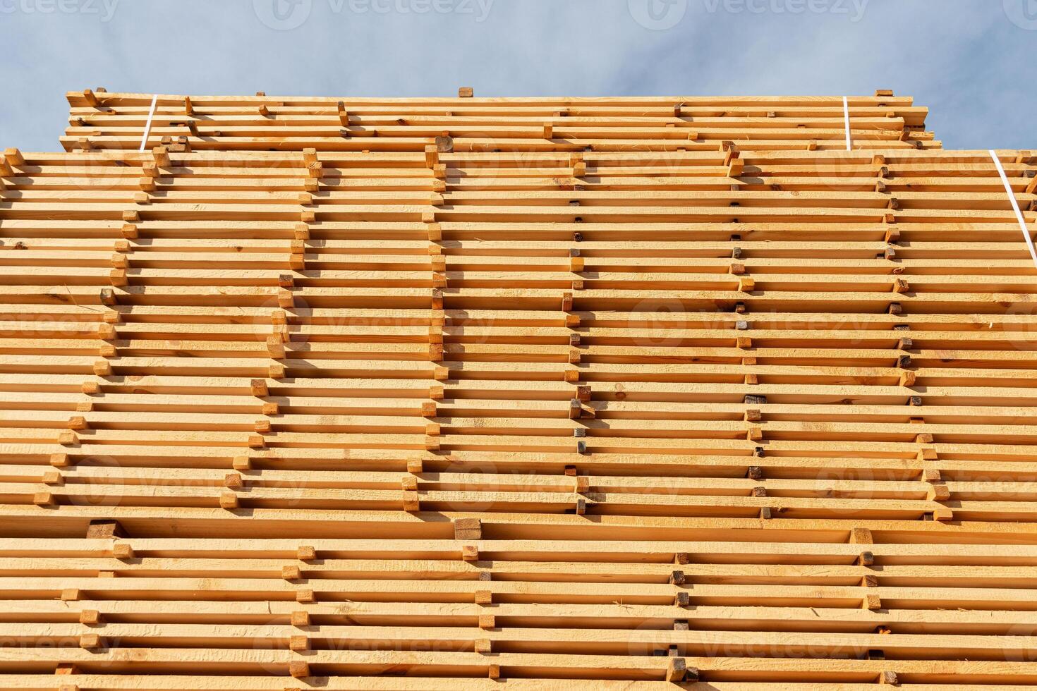 Rows of neatly stacked lumber are visible at a supplier yard, showcasing various dimensions under a clear blue sky during daylight photo