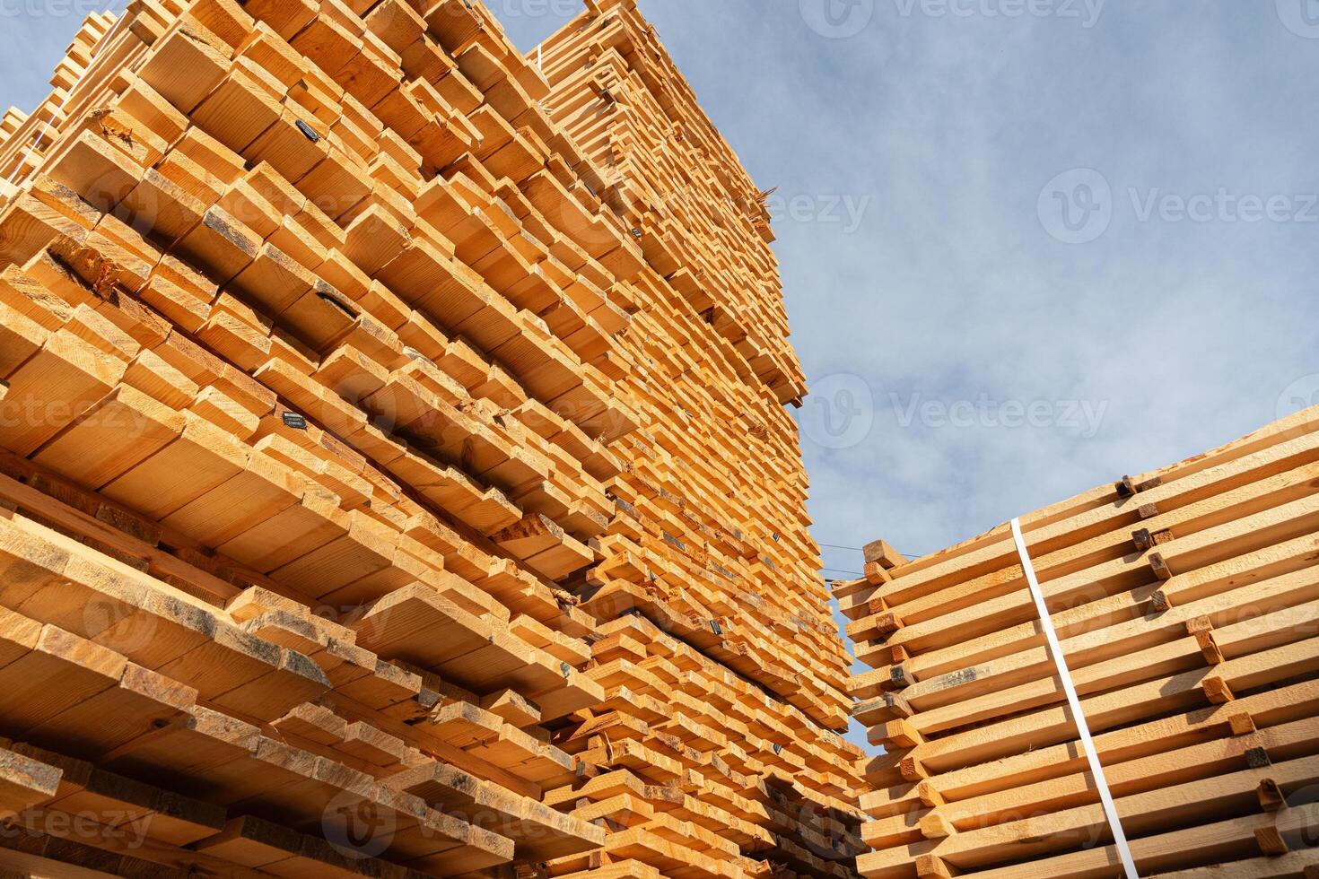 Large stacks of wooden pallets are neatly organized in a lumber yard, illuminated by bright sunlight against a clear blue sky photo