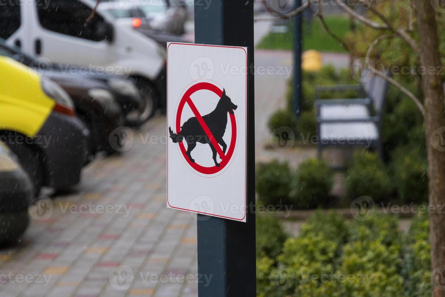 A clear warning sign displays a black dog inside a red circle with a slash, prohibiting pets in a well-maintained outdoor space photo