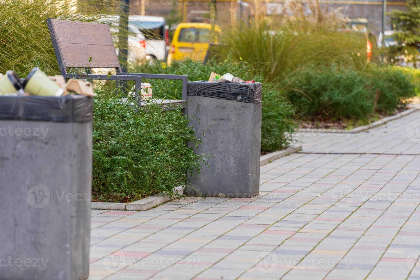 Two garbage bins overflowing with waste sit beside a path in a public area, highlighting the need for effective waste management photo
