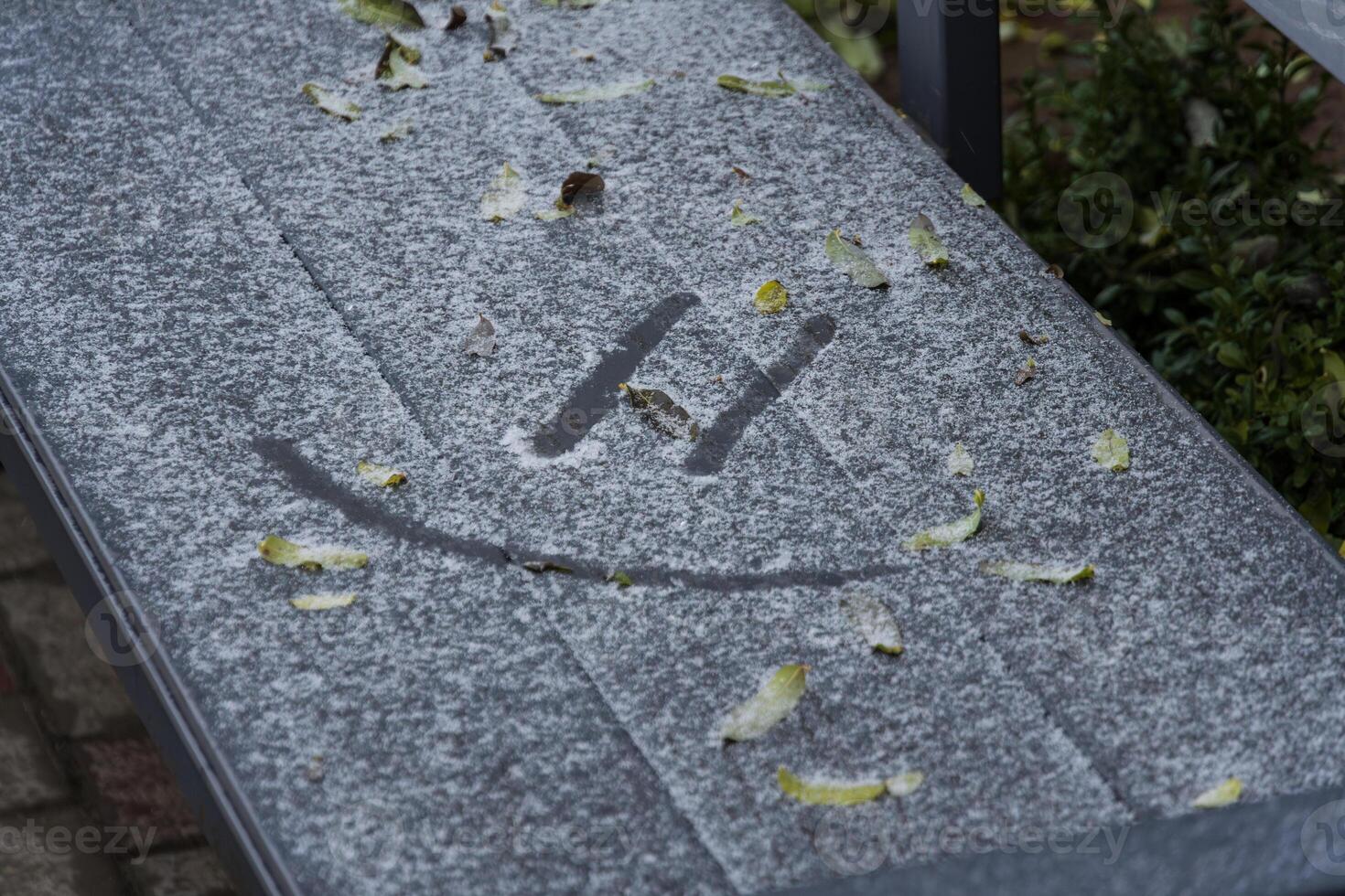 A bench covered in snow displays a cheerful smiley face mark, surrounded by scattered leaves in a winter outdoor setting photo