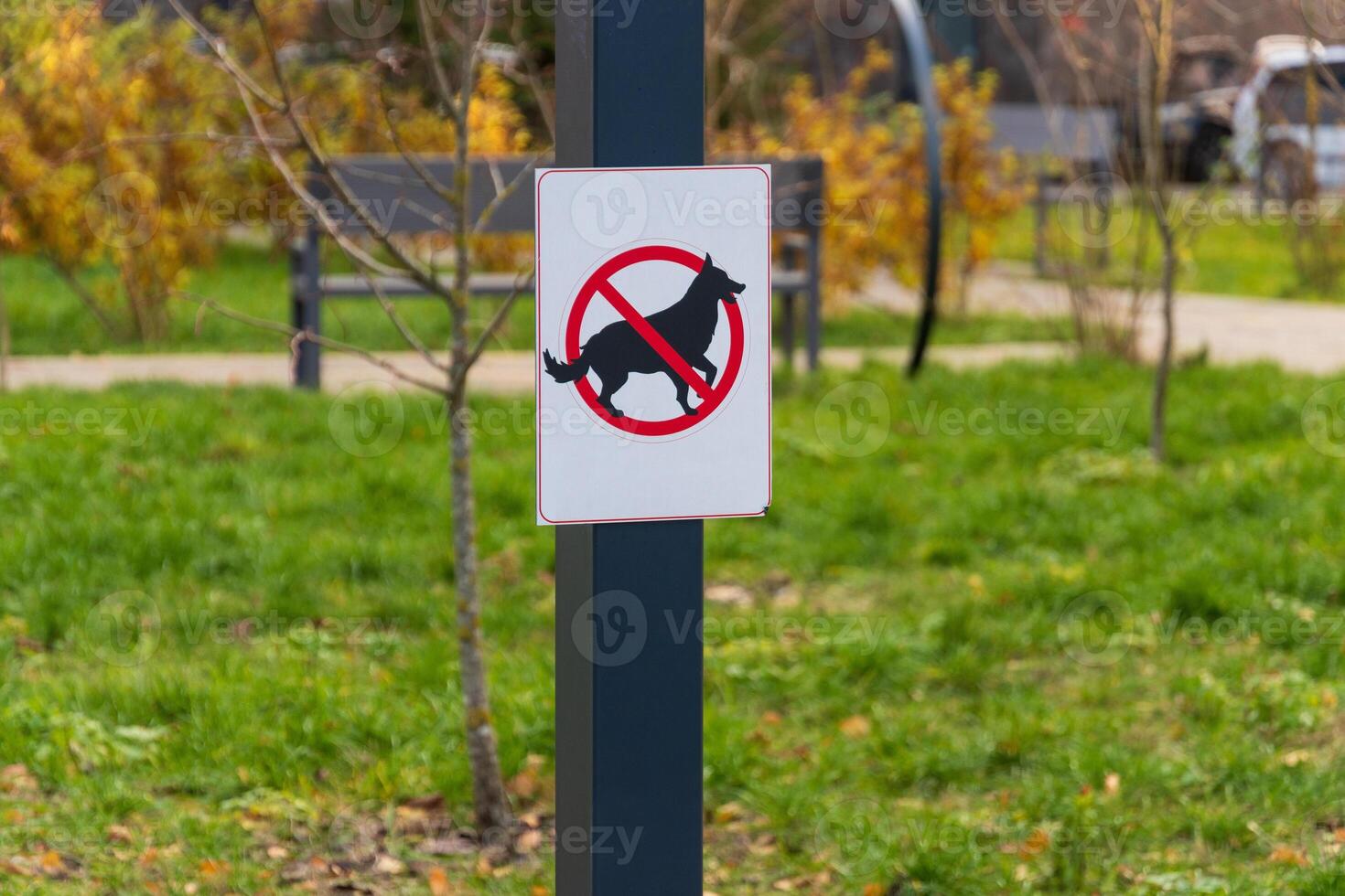 A clear warning sign is visible in a park, indicating that dogs are prohibited in this area to prevent excrement and ensure visitor safety photo