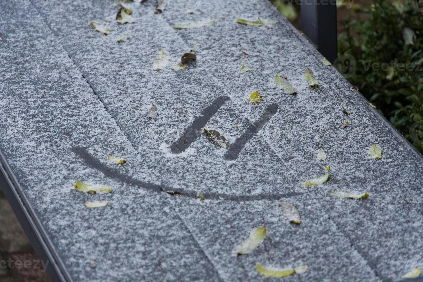 A bench blanketed in snow shows a smiley drawn in frost, surrounded by scattered leaves, capturing a serene winter moment in nature photo