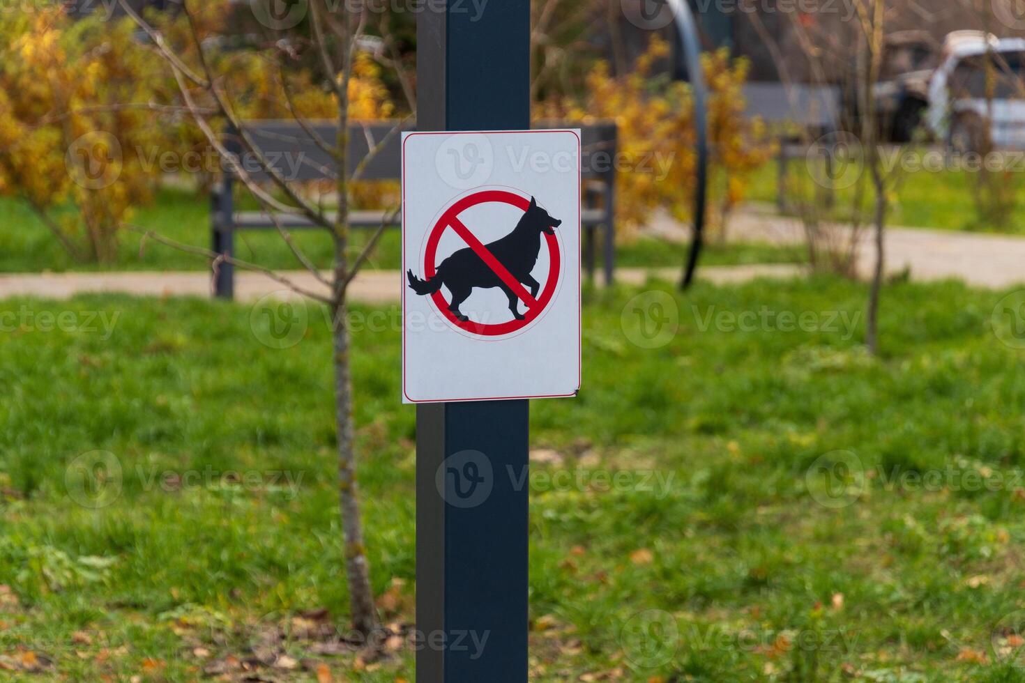 A warning sign stands in a park indicating that dogs are not allowed, highlighting the importance of clean outdoor spaces for visitors photo