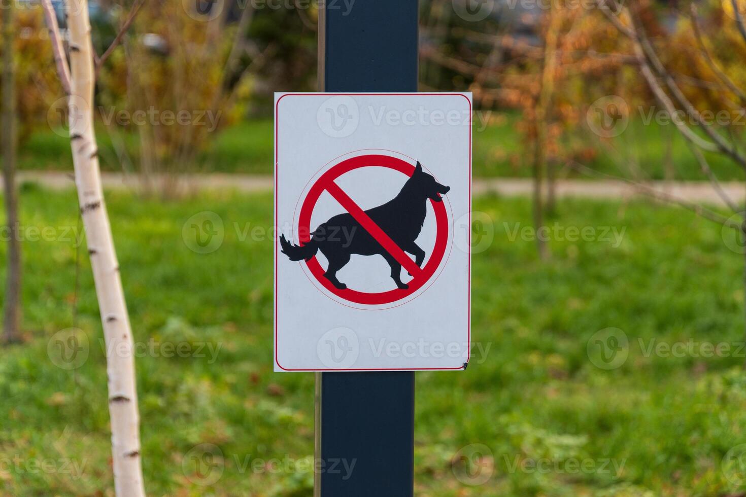 A warning sign in a park clearly indicates that dogs are not allowed, ensuring compliance with local pet rules photo