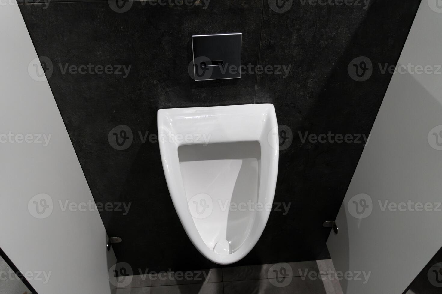 The interior features a sleek, white urinal surrounded by contemporary, hygienic partitions in a modern restroom setting photo
