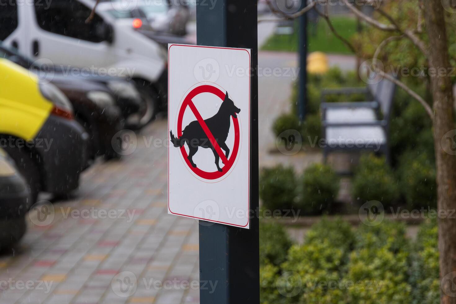 A warning sign prohibits dogs in the park, emphasizing rules about pet excrement in an outdoor setting with greenery and vehicles photo