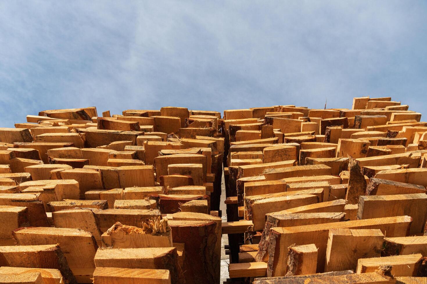 Wooden logs are neatly stacked in a lumber yard, showcasing the texture and depth of the wood against the bright sky photo
