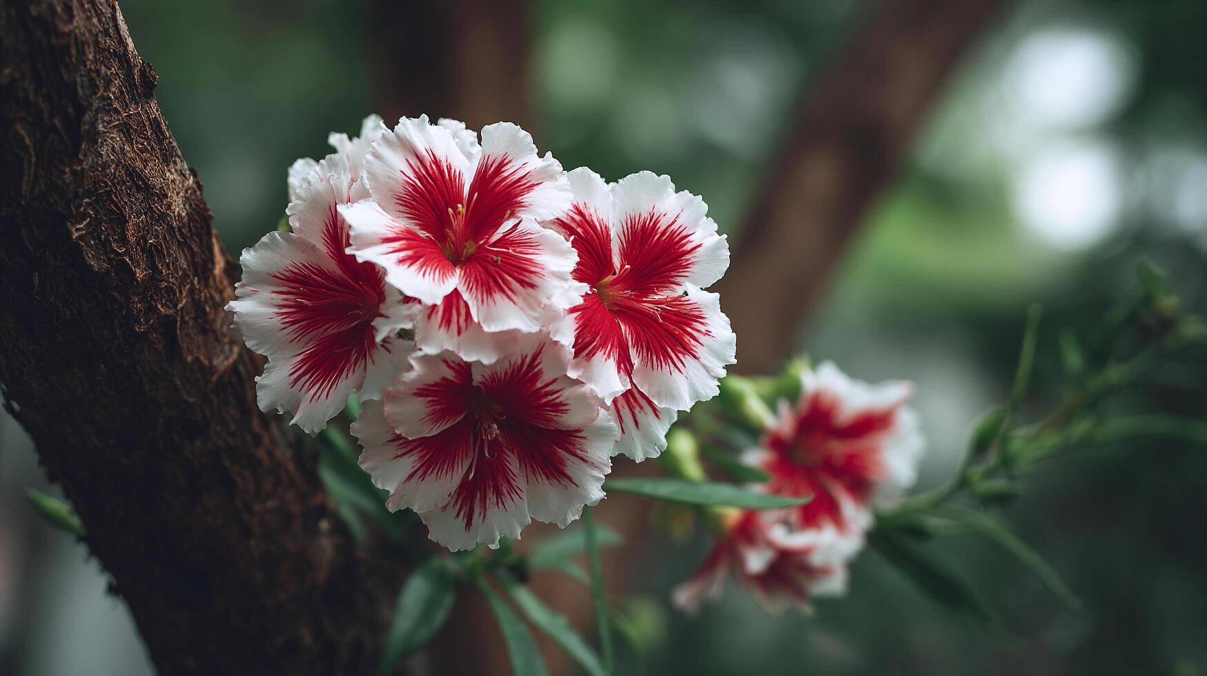 Flower in sharp focus with soft green photo background